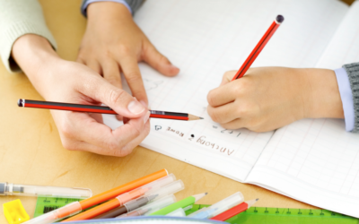 Private Tutor vs. Governess: Which Role is Right for You?